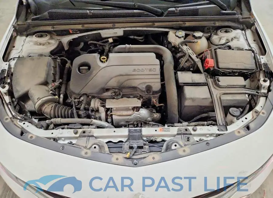 1G1ZC5ST9PF147226# 11