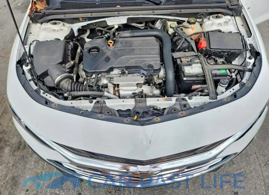 1G1ZD5ST6LF019887# 11