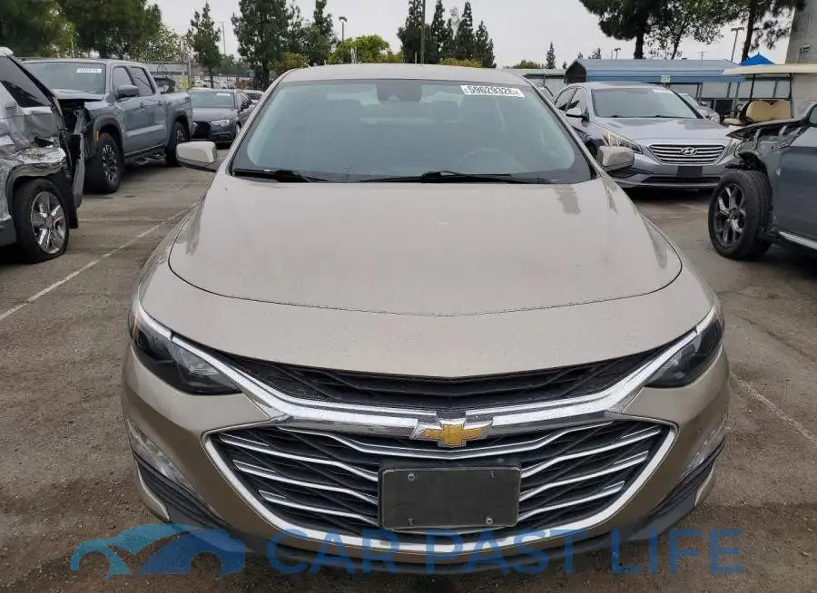 1G1ZD5STXPF186131# 5