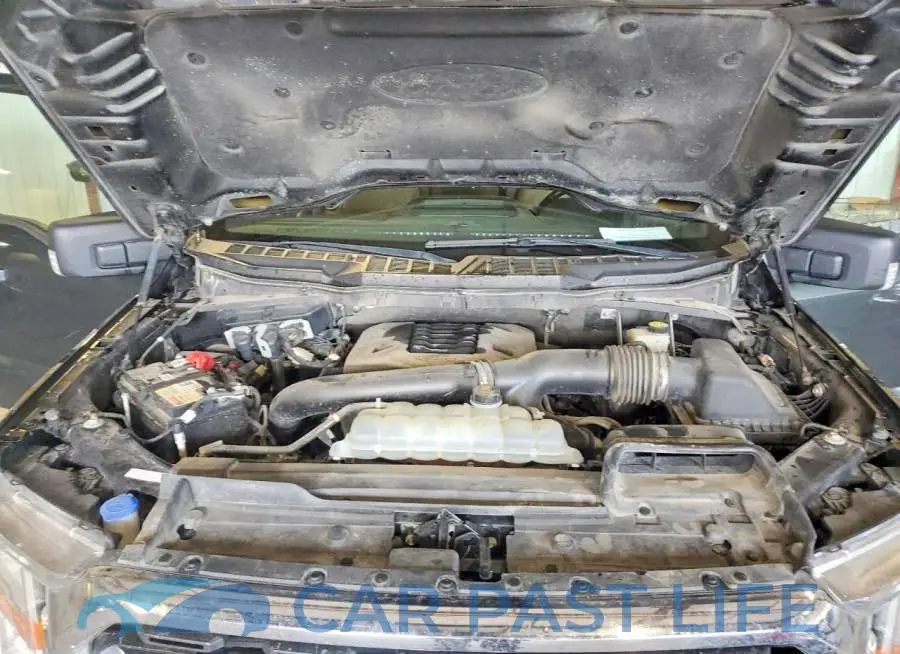 1FTFW1E87MKD61135# 11