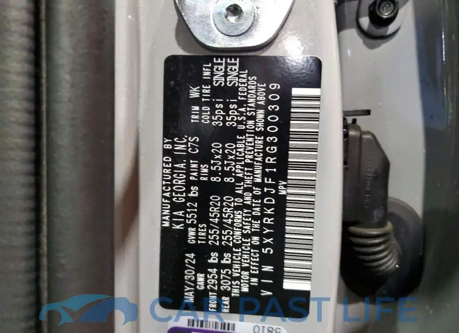 5XYRKDJF1RG300309# 13