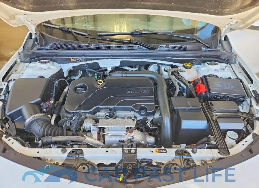 1G1ZD5ST5KF217245# 11