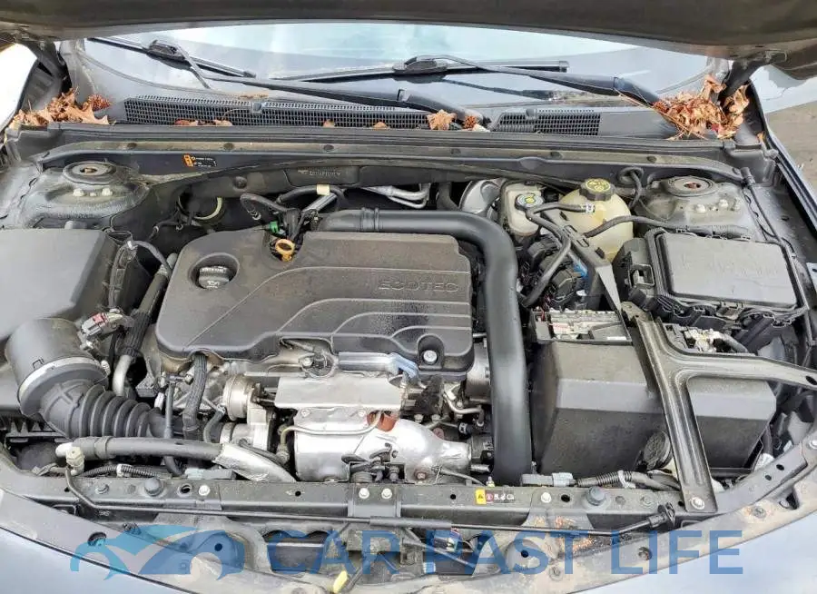 1G1ZD5ST6JF117217# 11