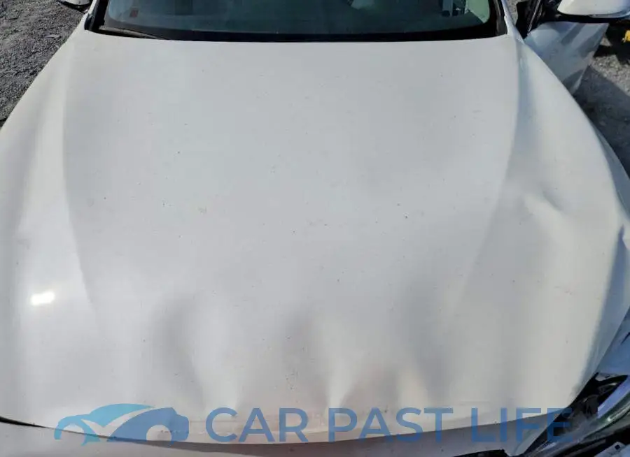 JN1EV7BP0RM600097# 11