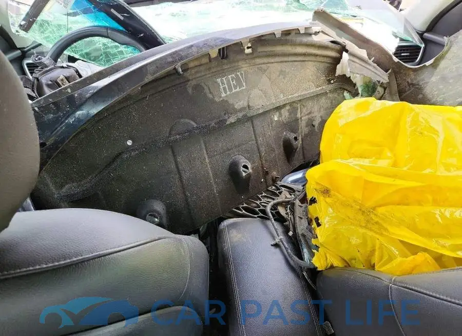 KNAGU4LE2J5023850# 8
