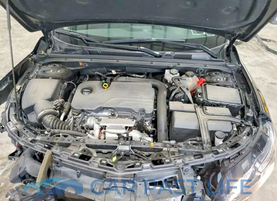 1G1ZD5ST5RF190882# 11