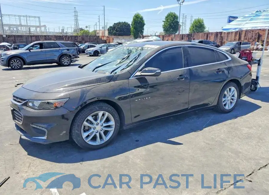 1G1ZD5ST9JF260436# 1