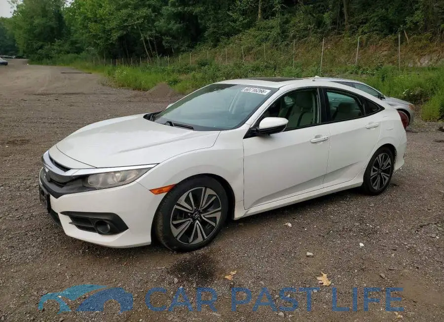 2HGFC1F35HH650167# 1