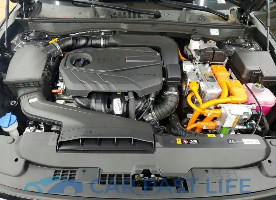 KMHL24JJ3TA162494# 11