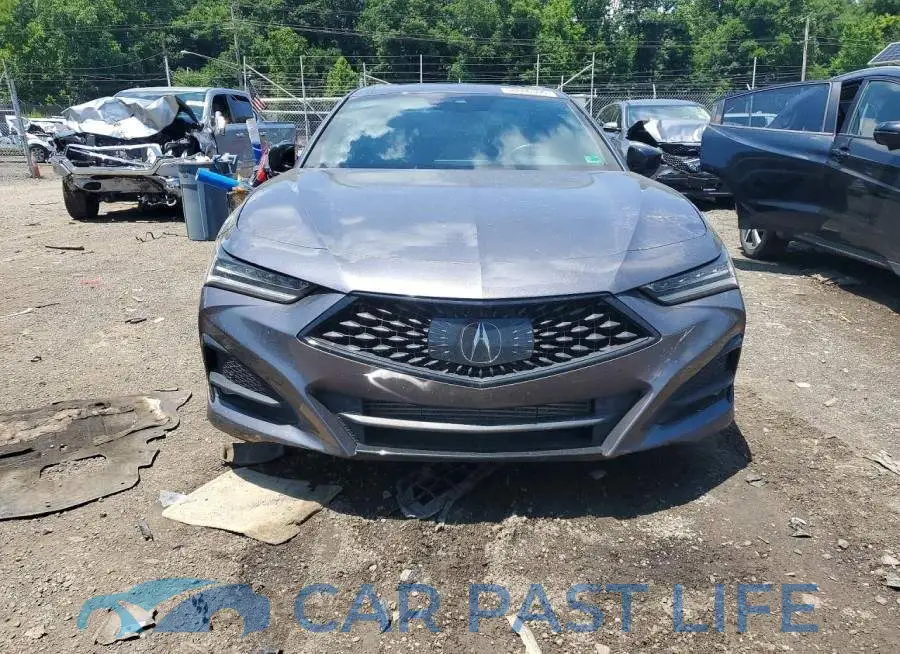 19UUB5F54NA005443# 5