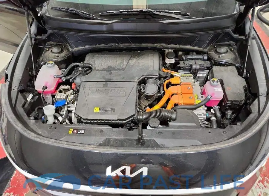 KNDCP3LE2S5306396# 12