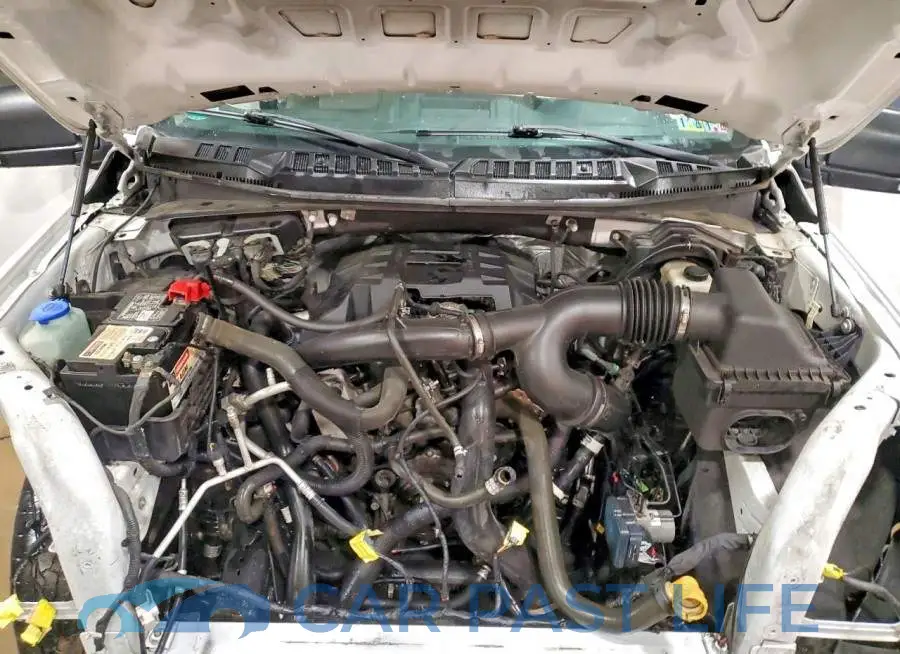 1FTEW1EP6JFA85375# 11