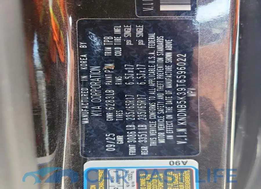 KNDNB5K39T6596022# 14