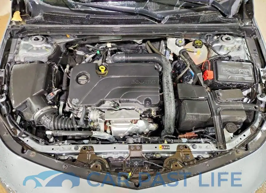 1G1ZD5ST8SF134831# 11