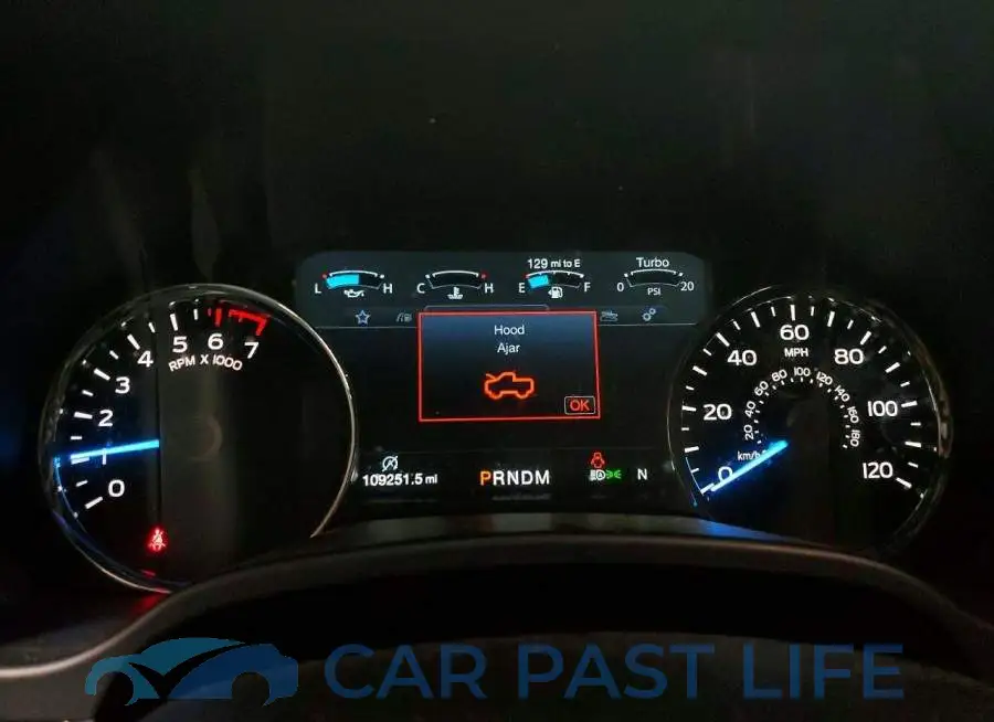 1FTEW1E46LFB73996# 9
