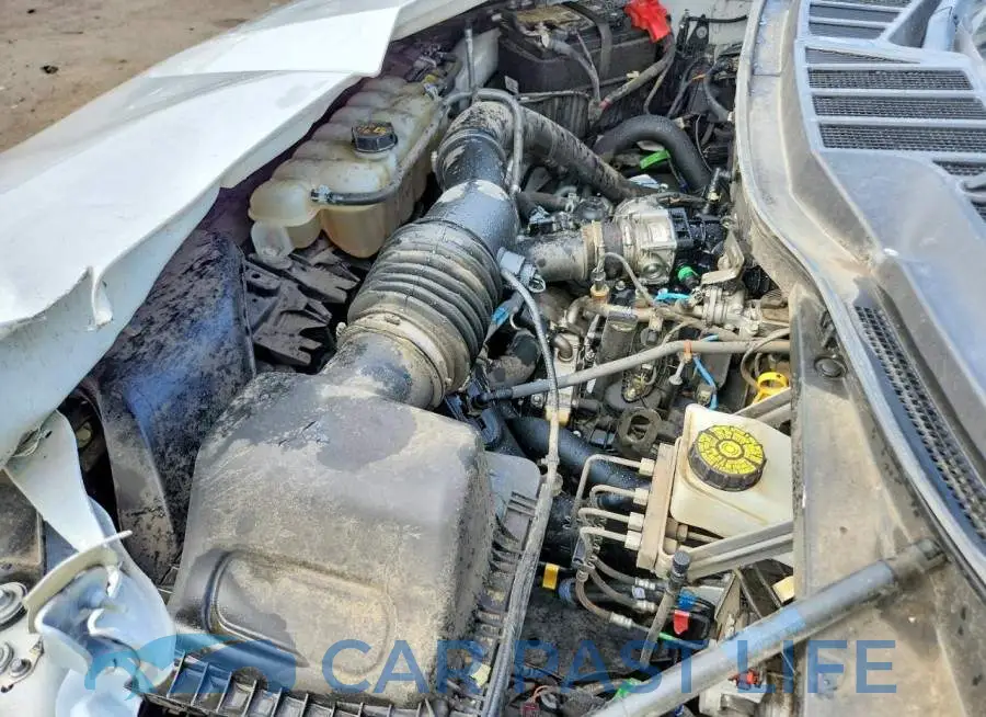 1FTEW1EP4MKF12337# 11