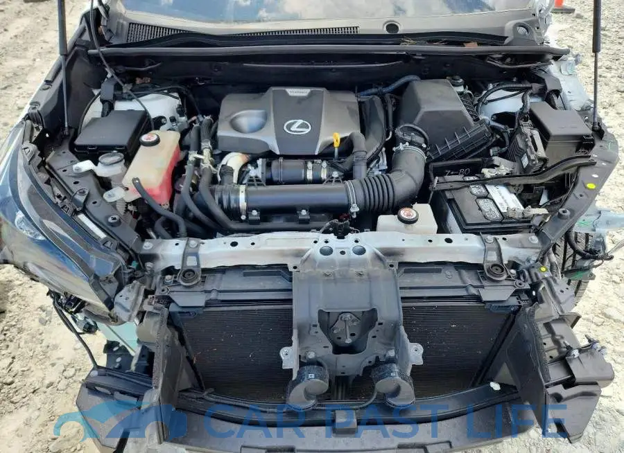 JTJDARBZ6M5021732# 12