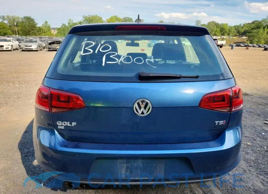 3VW217AU5HM037924# 6