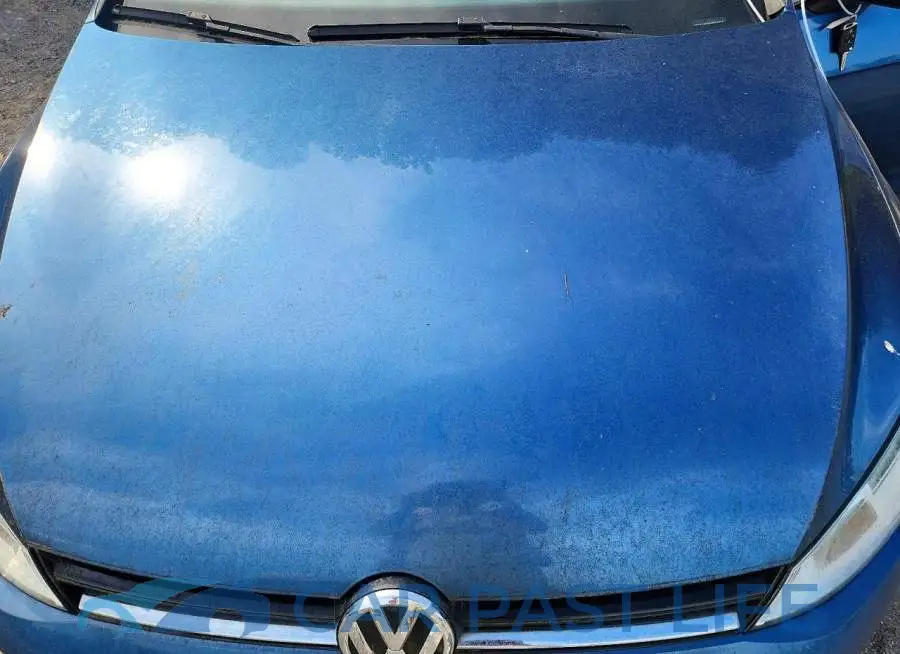 3VW217AU5HM037924# 11