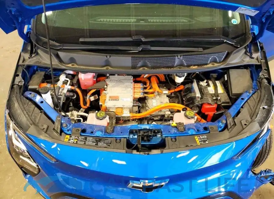 1G1FX6S09P4145667# 12