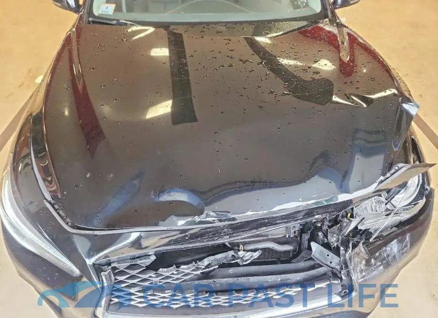 JN1EV7AR5LM251609# 11