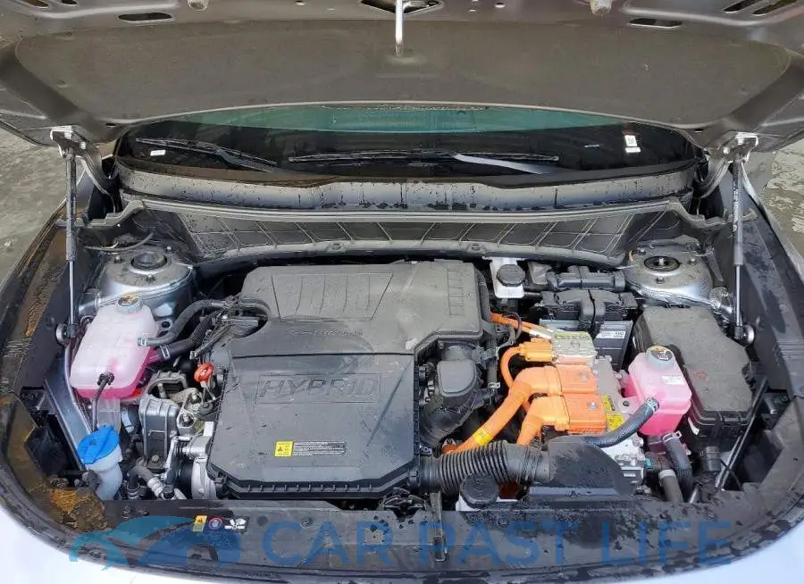 KNDCP3LE4T5323461# 11