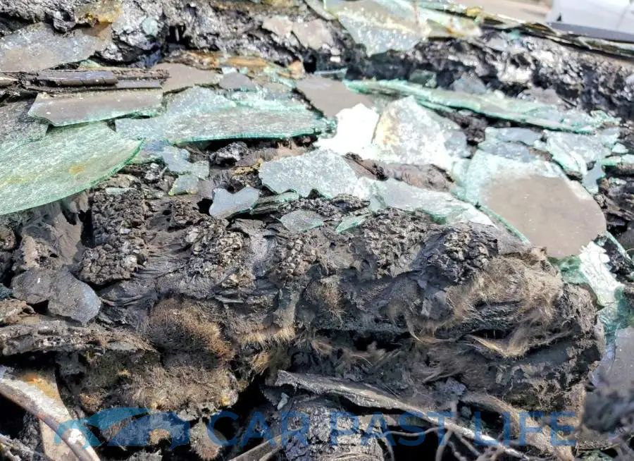 2C3CDZFJ1MH560184# 9