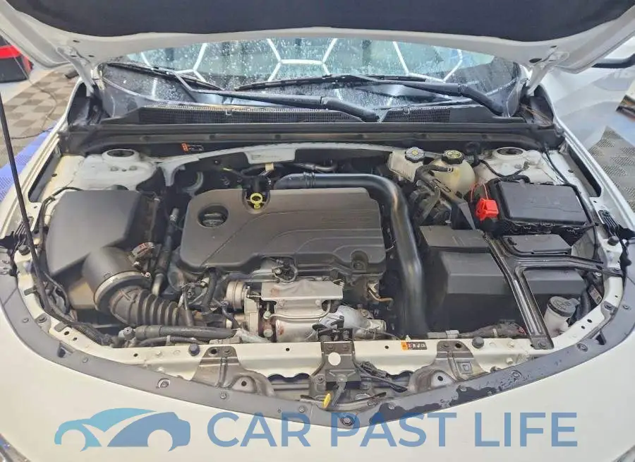 1G1ZD5ST1PF137464# 11