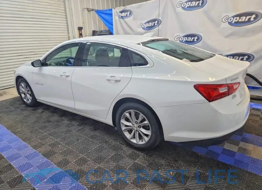 1G1ZD5ST1PF137464# 2