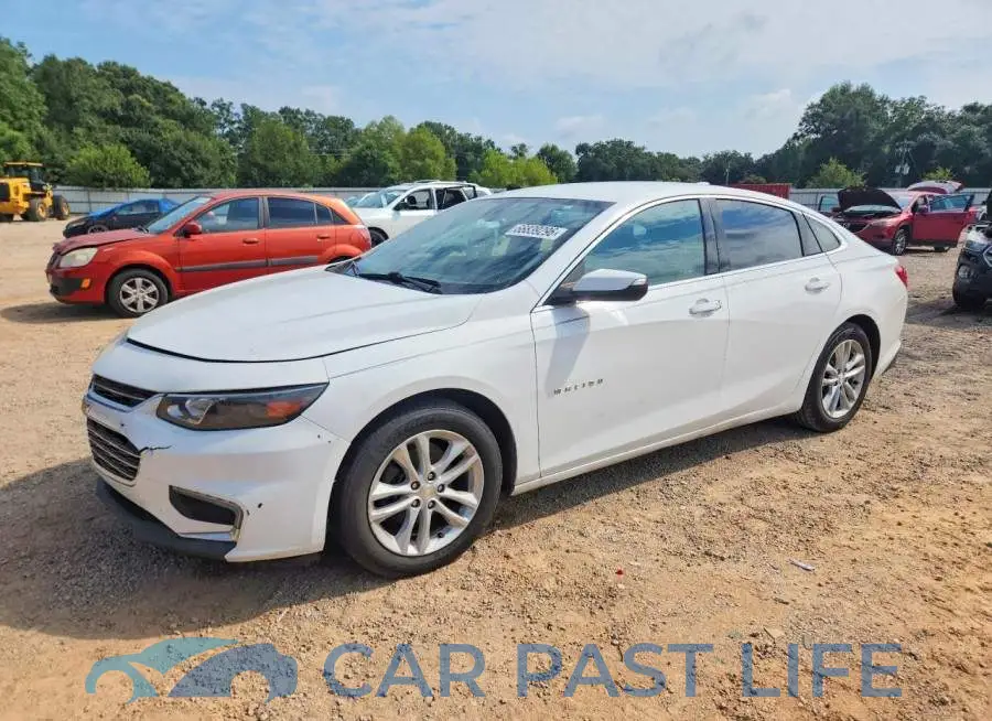 1G1ZD5ST3JF101881# 1