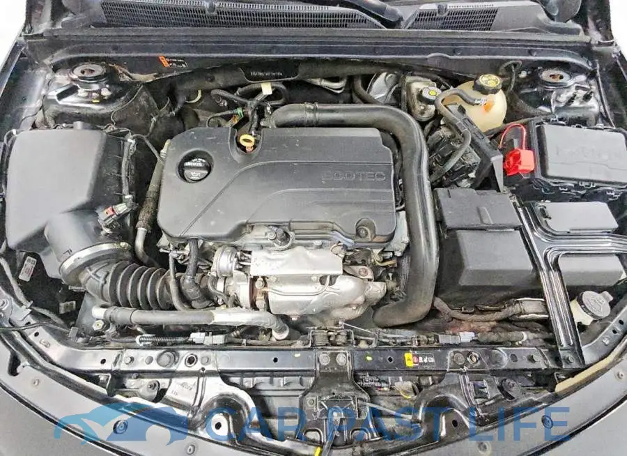 1G1ZD5ST6KF155189# 11