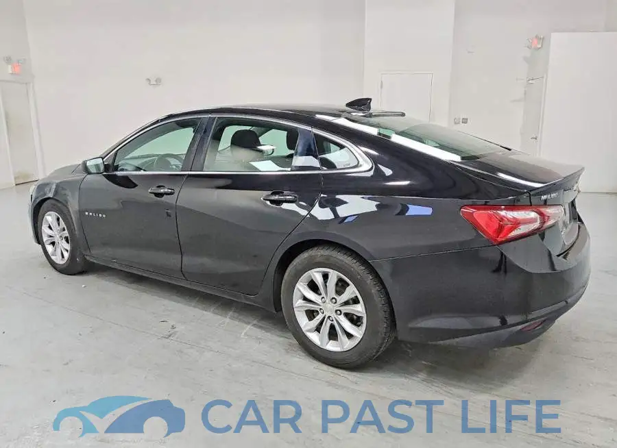 1G1ZD5ST6KF155189# 2