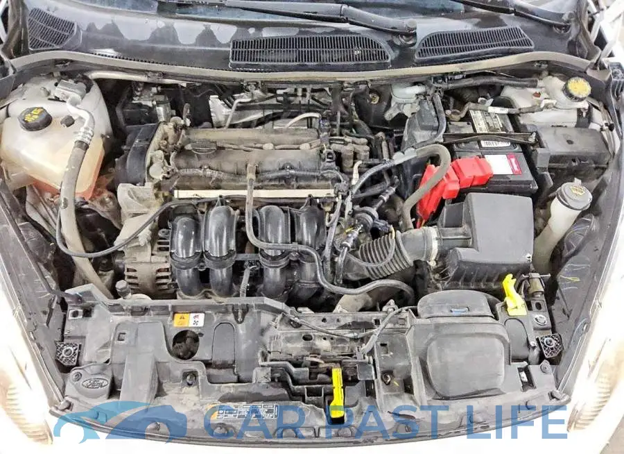 3FADP4BJ4KM149902# 11