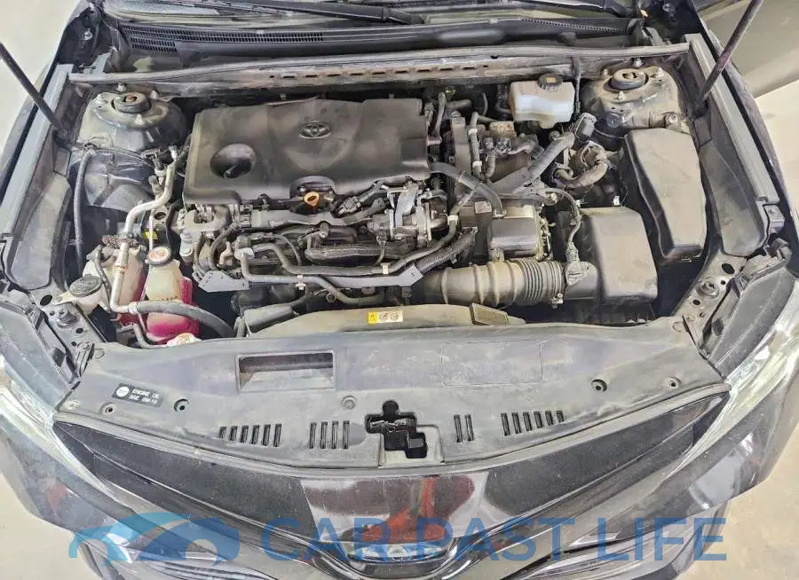 4T1F31AK3LU524484# 11