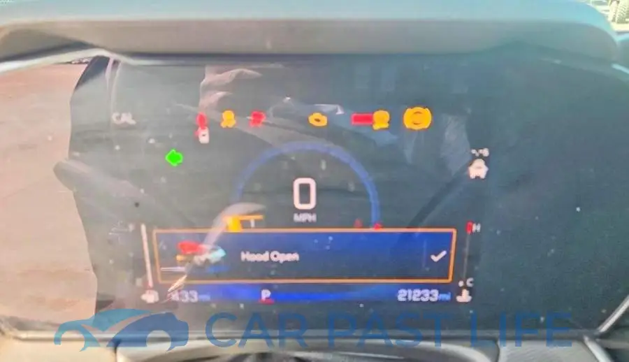 KL79MPSLXSB190809# 9