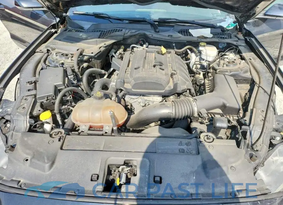 1FA6P8TH8K5166641# 11