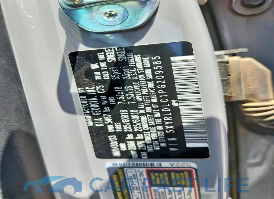 5XYRLDLC1PG209585# 13