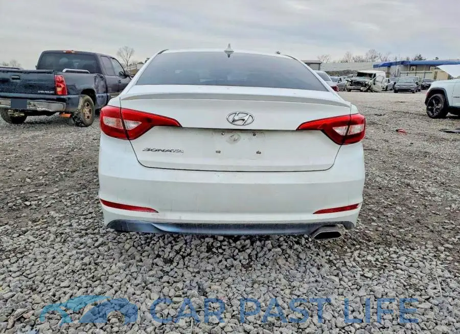5NPE24AF1HH516845# 6