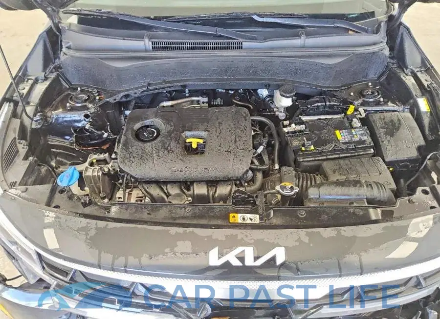 KNDEUCAA1R7533711# 12