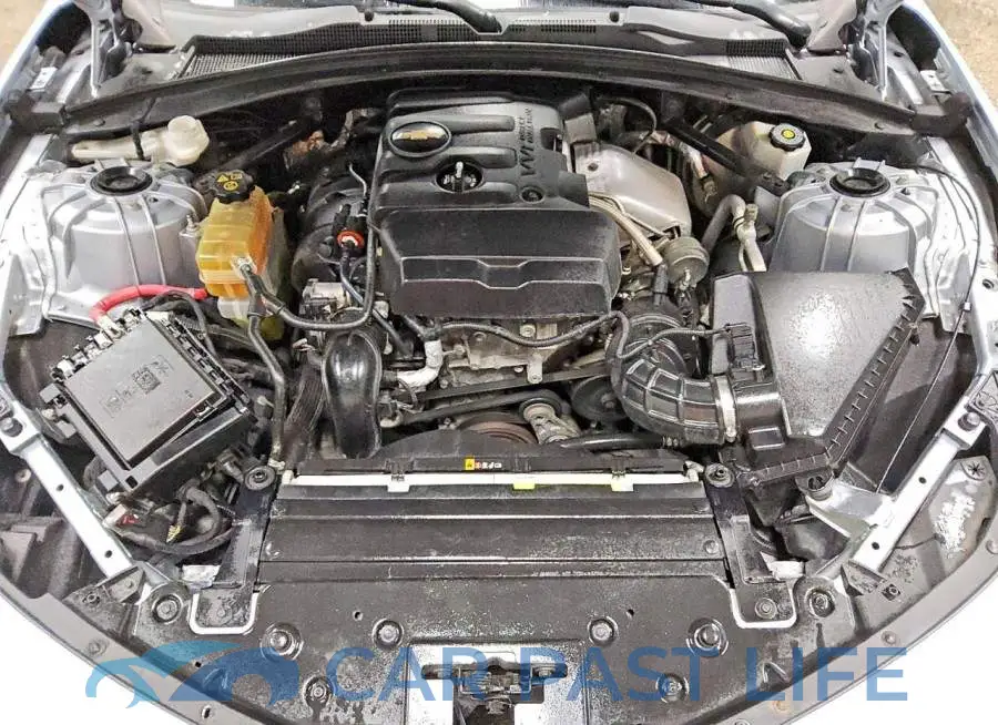 1G1FB1RX6J0122902# 11