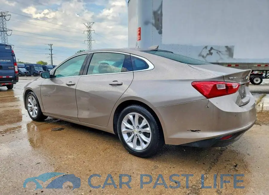 1G1ZD5ST1PF216598# 2