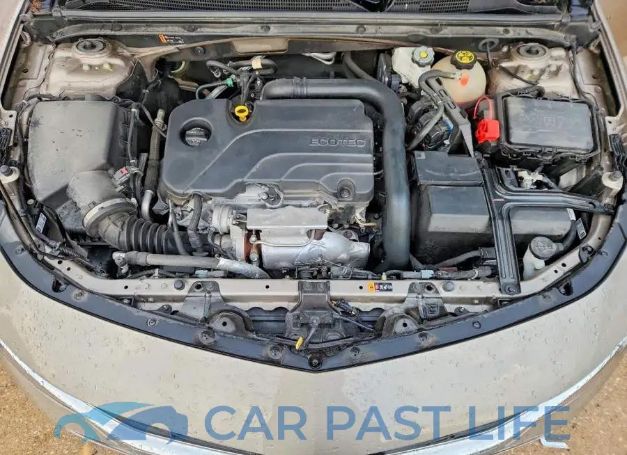 1G1ZD5ST1PF216598# 11