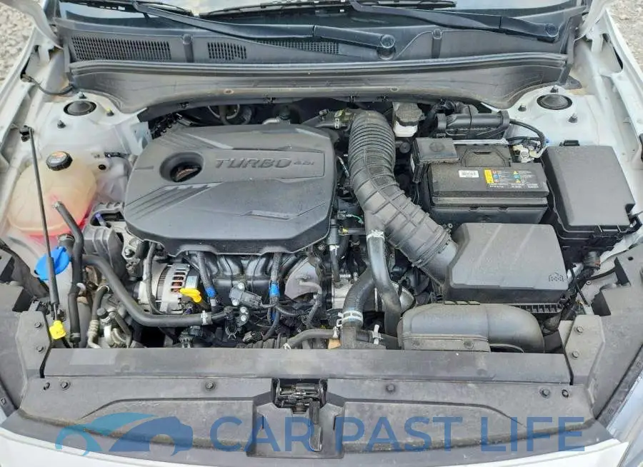 3KPF44AC9PE566819# 11