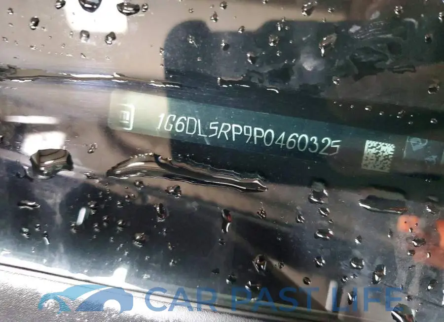 1G6DL5RP9P0460325# 12
