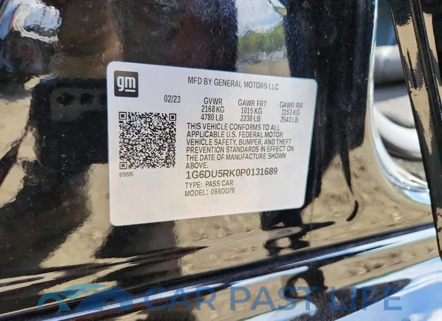1G6DU5RK0P0131689# 12