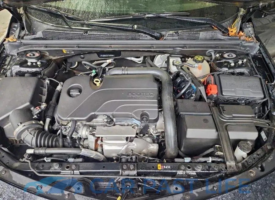 1G1ZB5ST3LF157019# 11