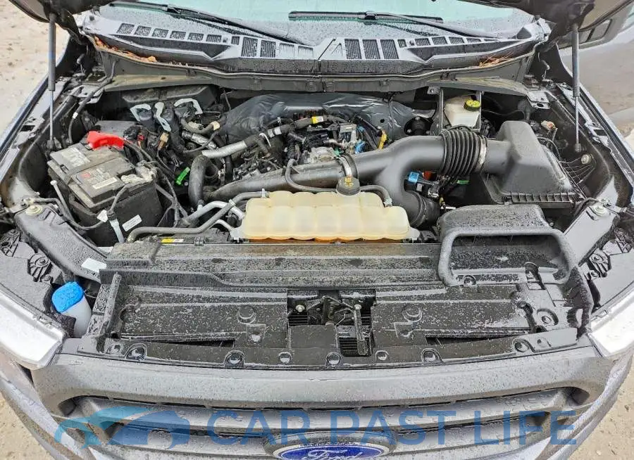 1FTEW1EP9PKE11654# 11