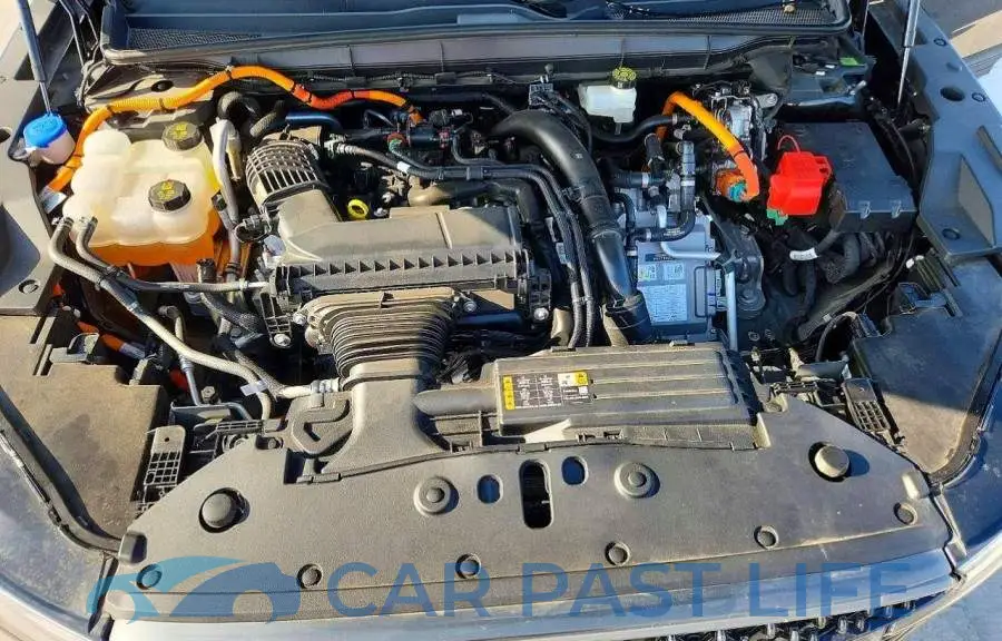 5LMPJ9J44RJ876135# 11