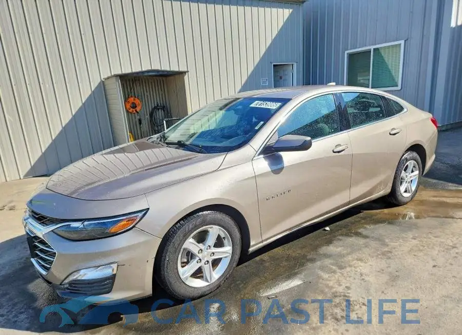 1G1ZD5ST9PF175881# 1