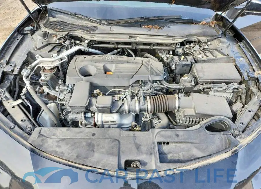 19UUB6F52PA800337# 11
